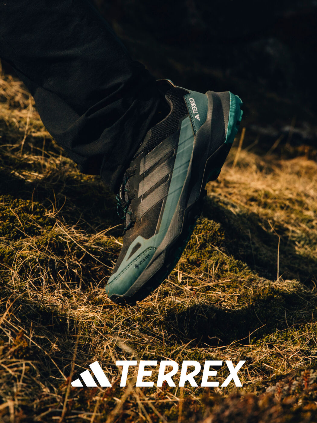 صورة بدون اسم